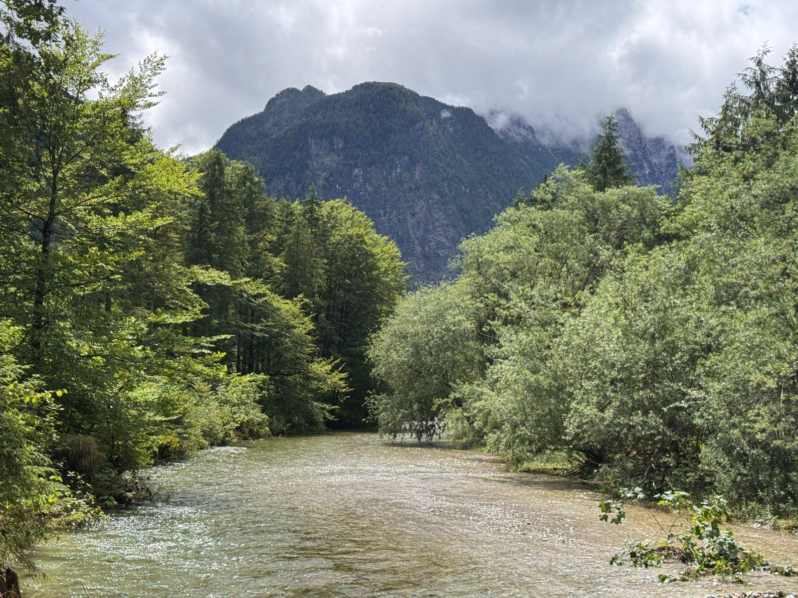 Wildbach unter den Berggipfeln